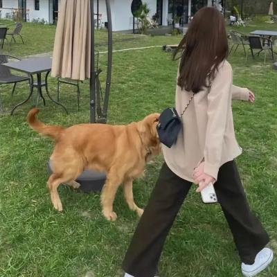 舞动真爱